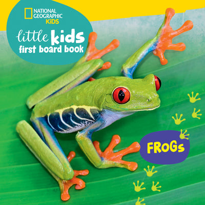 Little Kids First Board Book: Frogs by Musgrave, Ruth