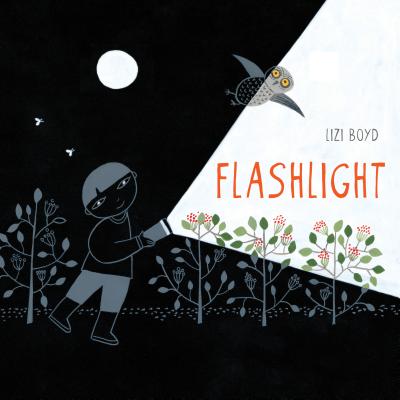 Flashlight: (Picture Books, Wordless Books for Kids, Camping Books for Kids, Bedtime Story Books, Children's Activity Books, Child by Boyd, Lizi