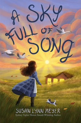 A Sky Full of Song by Meyer, Susan Lynn