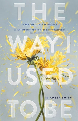 The Way I Used to Be by Smith, Amber