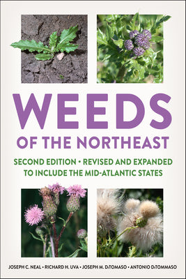 Weeds of the Northeast by Neal, Joseph C.