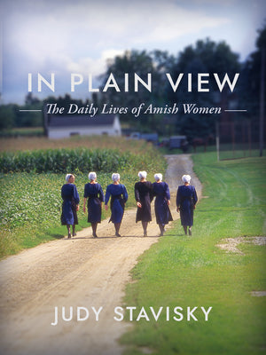 In Plain View: Amish Women at a Glance by Judy Stavisky