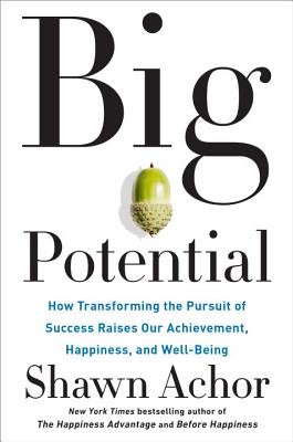 Big Potential: How Transforming the Pursuit of Success Raises Our Achievement, Happiness, and Well-Being by Achor, Shawn