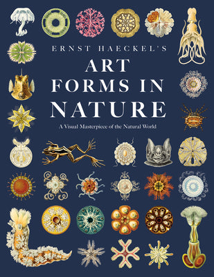 Ernst Haeckel's Art Forms in Nature: A Visual Masterpiece of the Natural World by Glitsch, Adolf