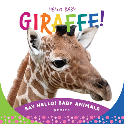 Hello Baby Giraffe! by Rose, Beverly