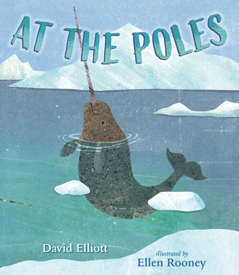 At the Poles by Elliott, David