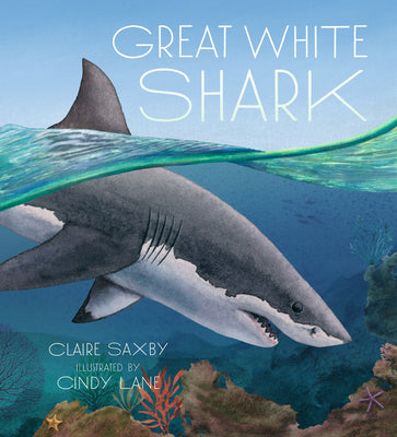 Great White Shark by Saxby, Claire