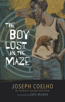 The Boy Lost in the Maze by Coelho, Joseph