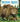 Brown Bears by Crumpton, Nick