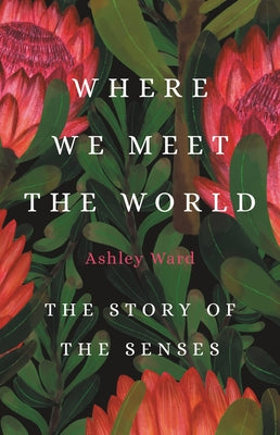 Where We Meet the World: The Story of the Senses by Ward, Ashley