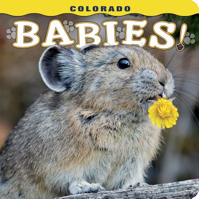 Colorado Babies! by Lemann, Steph