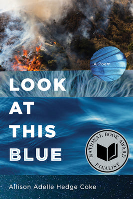 Look at This Blue by Hedge Coke, Allison Adelle