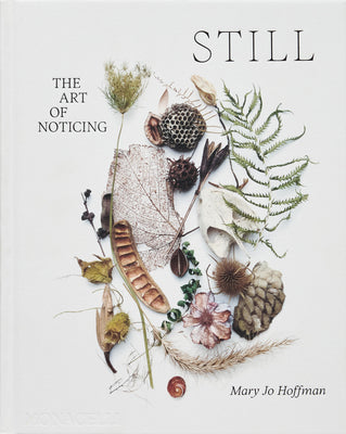 Still: The Art of Noticing by Hoffman, Mary Jo