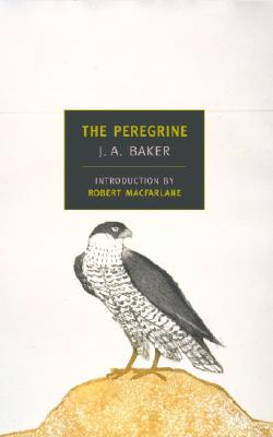 The Peregrine by Baker, J. A.