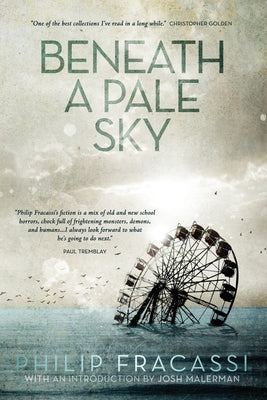 Beneath a Pale Sky by Fracassi, Philip