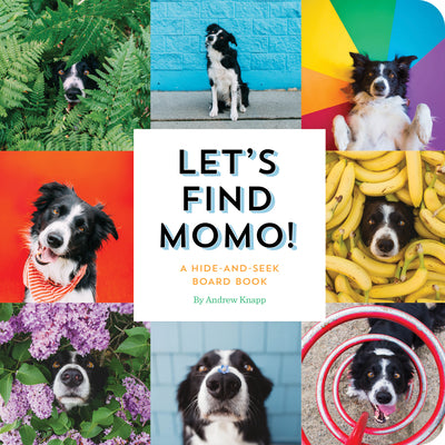 Let's Find Momo!: A Hide-And-Seek Board Book by Knapp, Andrew