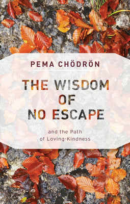 The Wisdom of No Escape: And the Path of Loving-Kindness by Chödrön, Pema