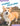 Pembroke Welsh Corgis by Wilson, Libby