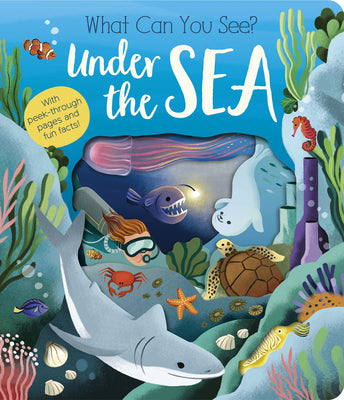 What Can You See? Under the Sea by Littleboy, Molly