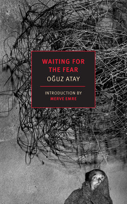 Waiting for the Fear by Atay, Oguz