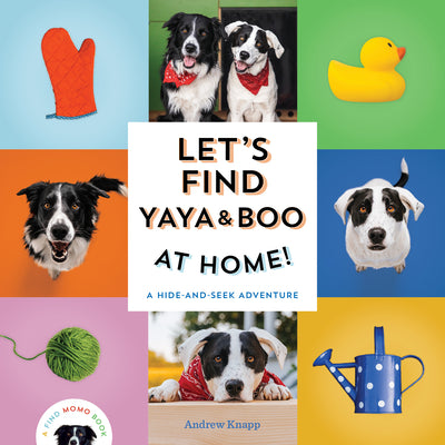 Let's Find Yaya and Boo at Home!: A Hide-And-Seek Adventure by Knapp, Andrew
