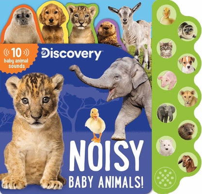 Discovery: Noisy Baby Animals! by Feldman, Thea