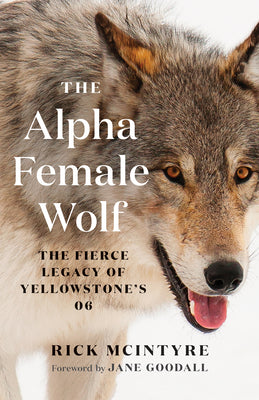 The Alpha Female Wolf: The Fierce Legacy of Yellowstone's 06 by McIntyre, Rick