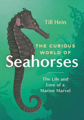 The Curious World of Seahorses: The Life and Lore of a Marine Marvel by Hein, Till