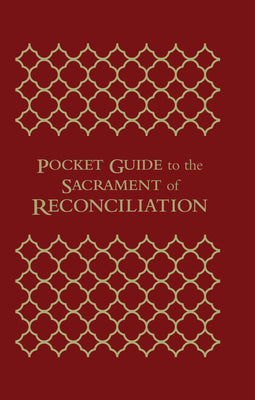Pocket Guide to the Sacrament of Reconciliation by Schmitz Fr Mike and Johnson Fr Josh