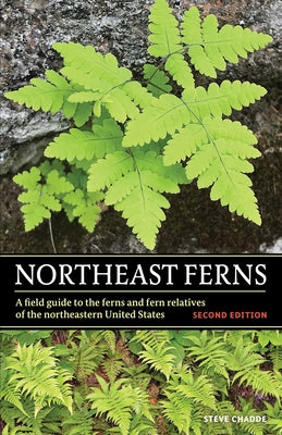 Northeast Ferns by Chadde, Steve W.