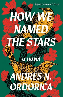 How We Named the Stars by Ordorica, Andrés N.