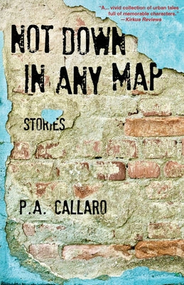 Not Down in Any Map: Stories by Callaro, P. a.