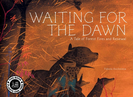 Waiting for the Dawn: A Tale of Forest Fires and Renewal by Anchorena, Fabiola