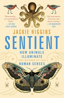 Sentient: How Animals Illuminate the Wonder of Our Human Senses by Higgins, Jackie
