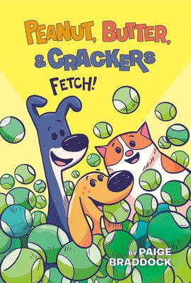 Fetch! by Braddock, Paige