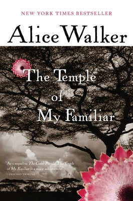 The Temple of My Familiar by Walker, Alice