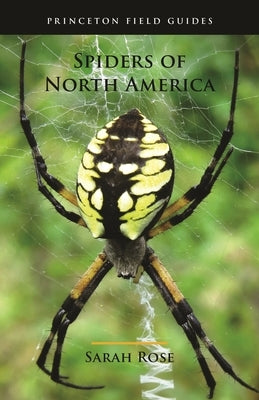 Spiders of North America by Rose, Sarah